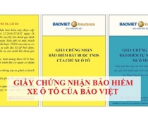 Bảo hiểm xe ôtô - xe máy 